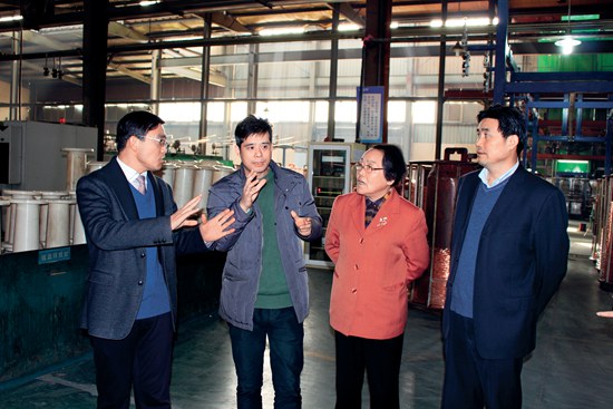 中國(guó)工程院院士邱愛(ài)慈考察南潯區(qū)浙江長(zhǎng)城電工科技股份有限公司.jpg