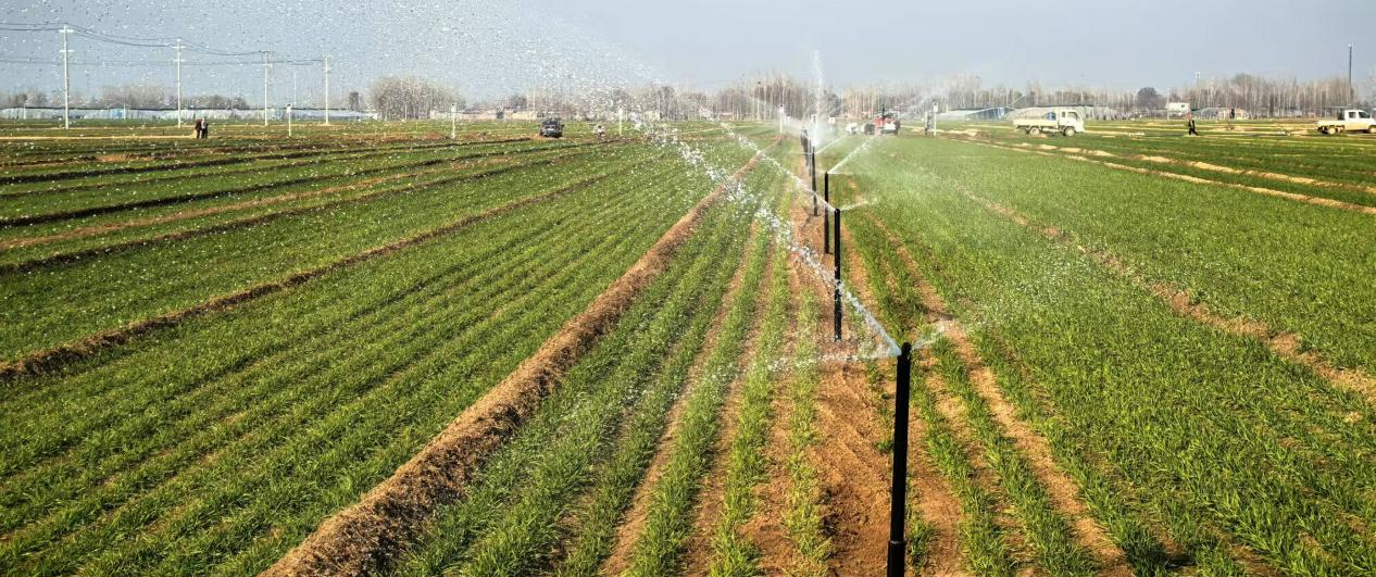 微信圖片_20250314220413.png 微信圖片_20250314220413.png