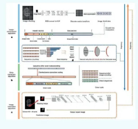 屏幕截圖 2025-07-08 154740.png